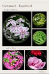 Einzelbilder mit Fisheye-Filter der App PowerCam + Collage mit App InstaMag
